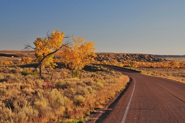 the main road through the park